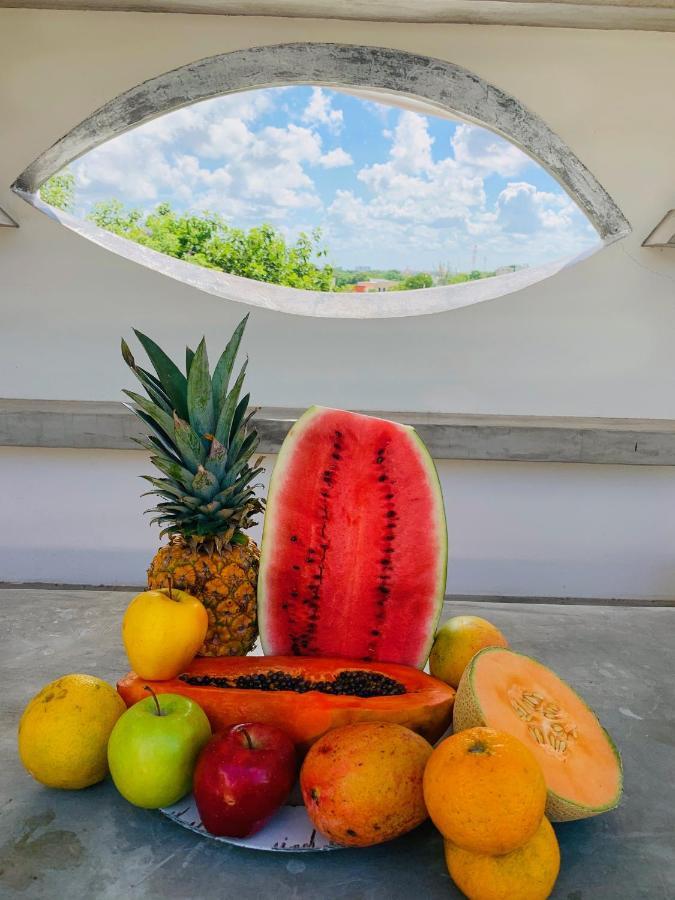 Villa Antilope Cancun Ngoại thất bức ảnh