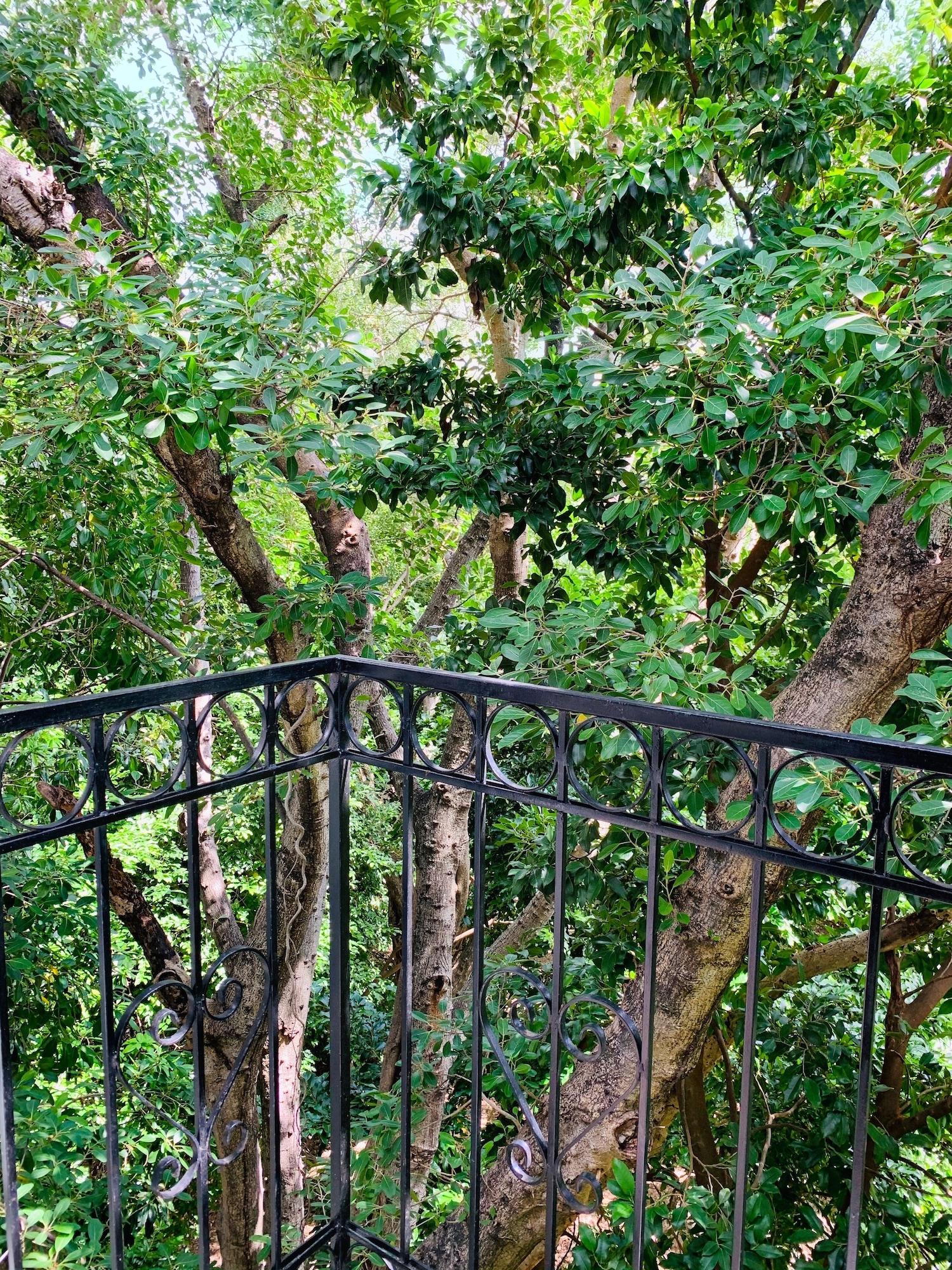 Villa Antilope Cancun Ngoại thất bức ảnh